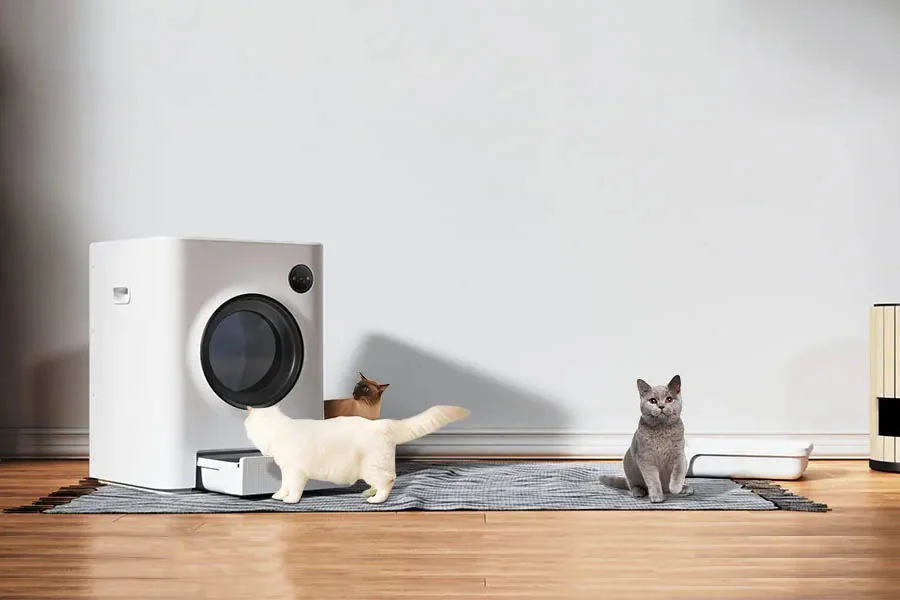 no smell litter box